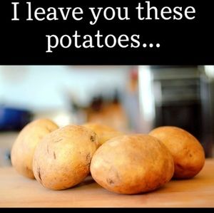 Meet your Posher, Angel